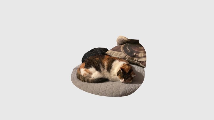 Sleepy Cat 3D Model