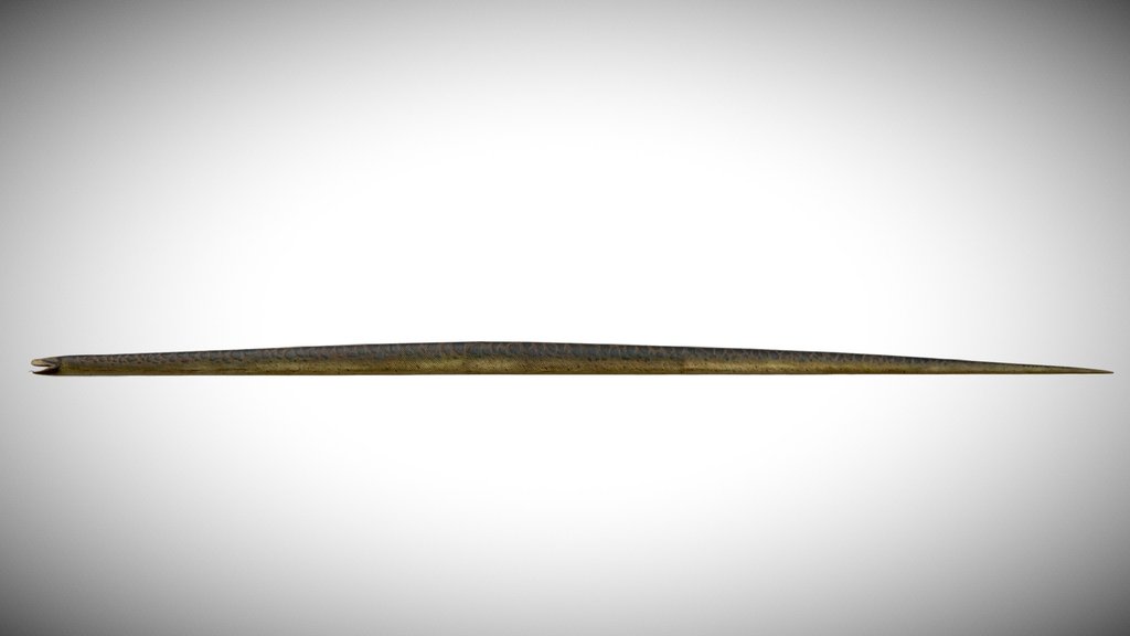 Titanoboa Cerrejonensis