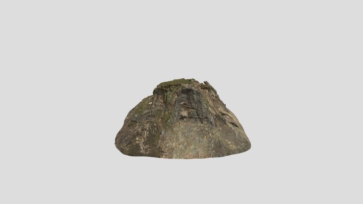 Tree Stump