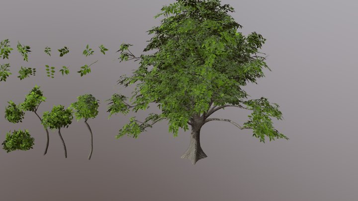 Treefbx 3D Model
