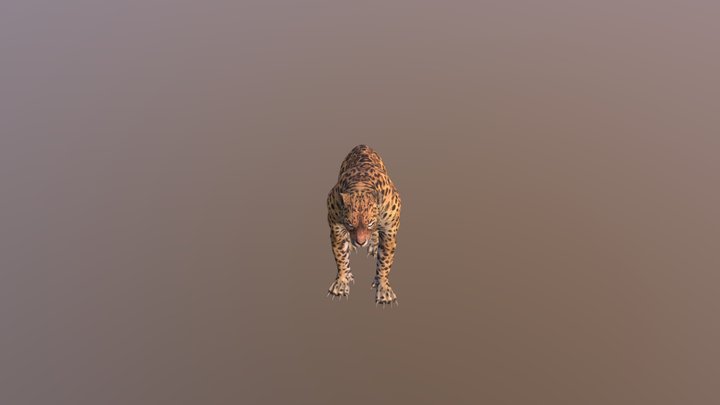 Leopard001-attack04 3D Model