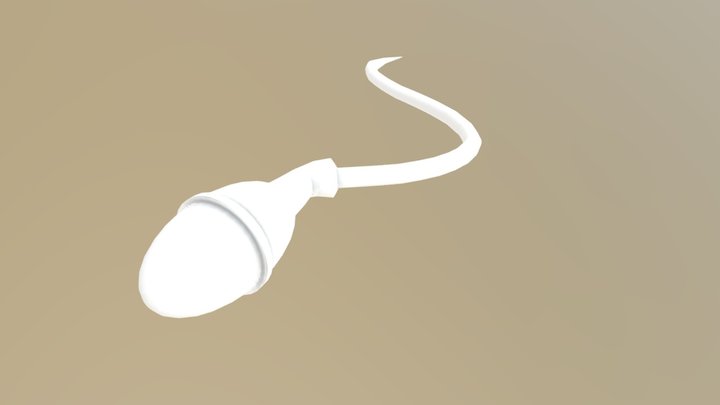 Sperm 3D Model