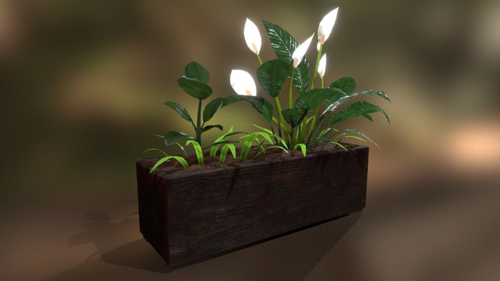 Plant Box 3D Model