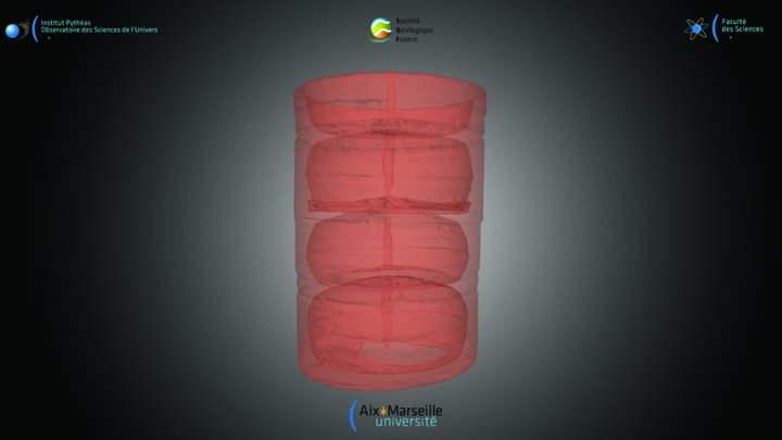 Diatomée - Colonie de E. arenaria – Kostenloses 3D-Modell STL