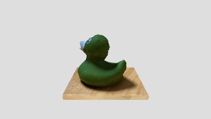 Silly Duck 3D Model