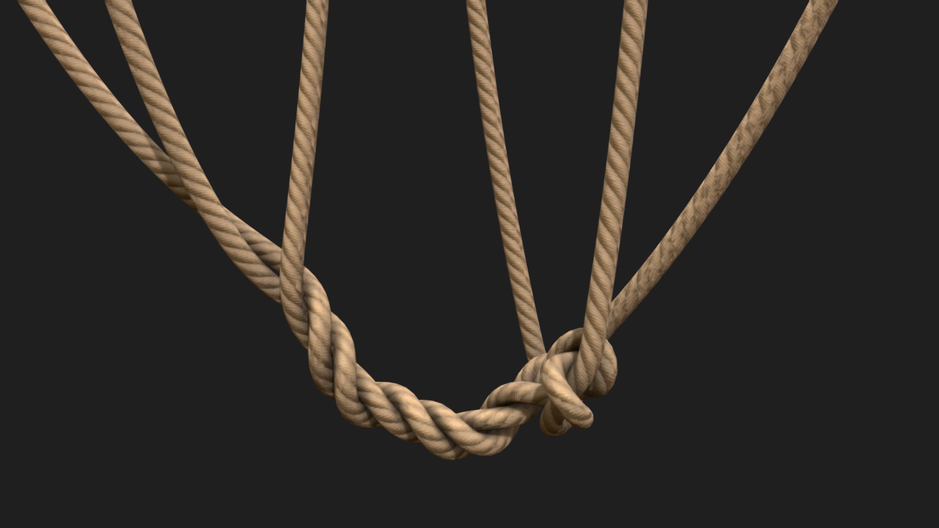 3D model Rope - This is a 3D model of the Rope. The 3D model is about a person holding a rope.