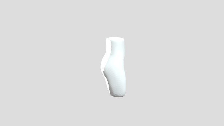 ass 3D Model
