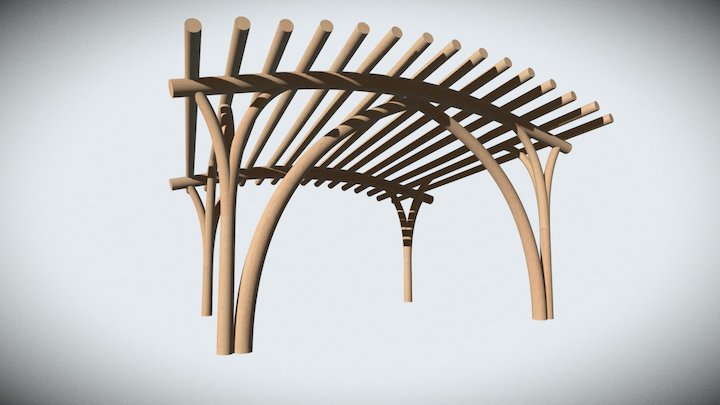 Event Canopy 3D Model
