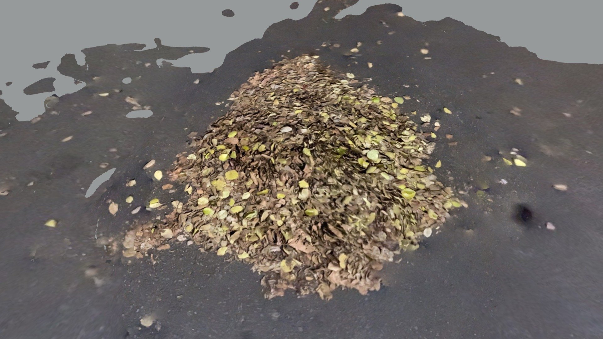 Pile of Leafs