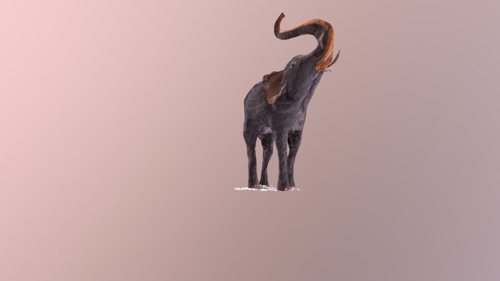ELEPHANT 3D Model