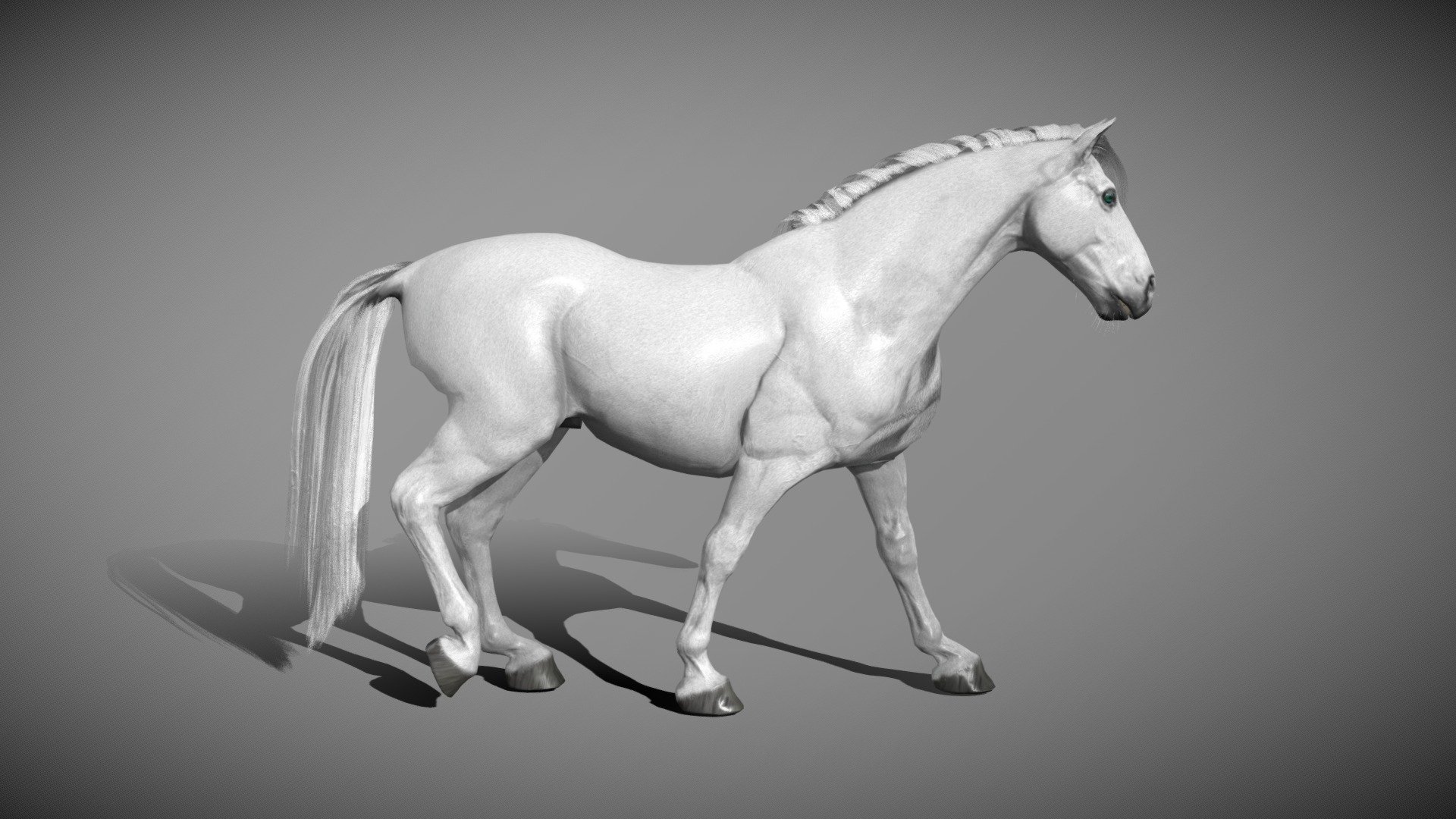 White horse 2.0 - 3D model by 3dartstevenz (@3dartstevenz) [1589190]