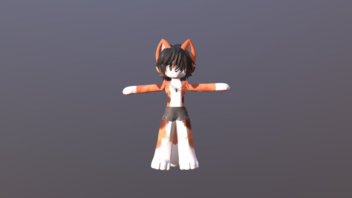 My furry idia 3D Model