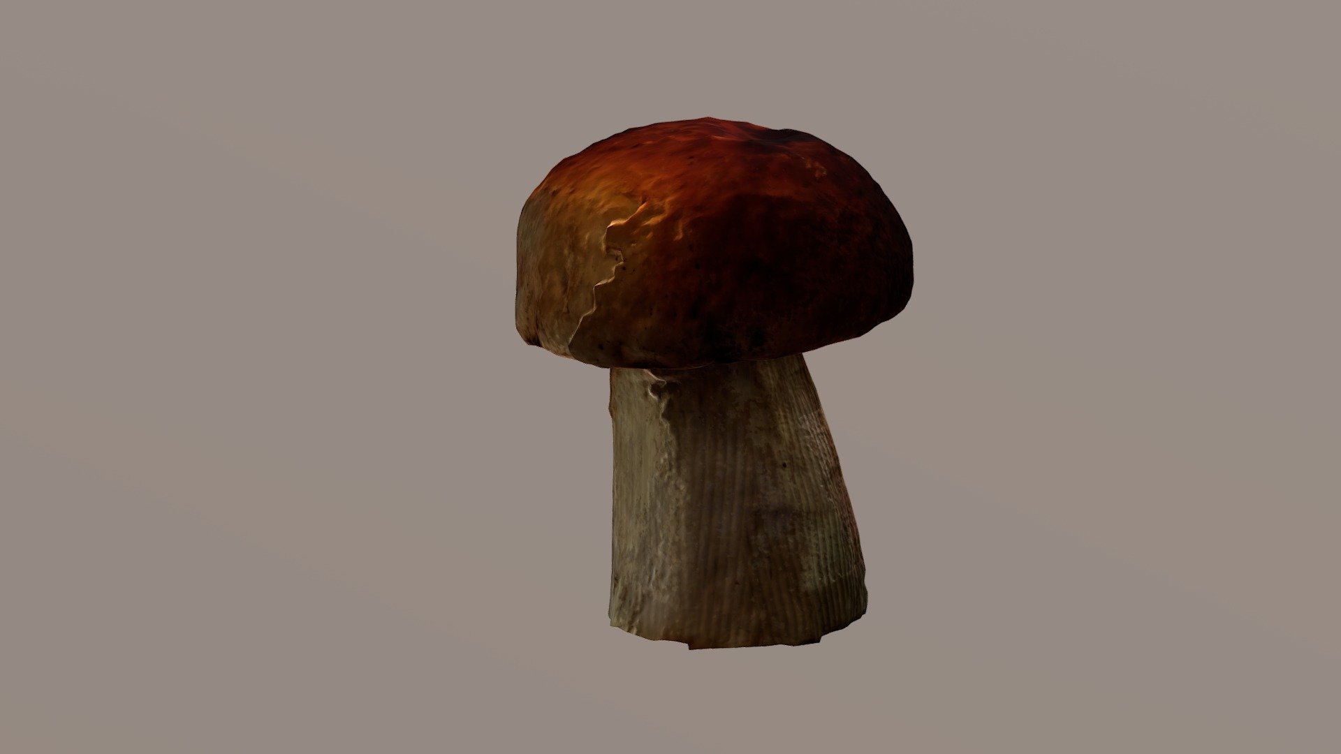 Mushroom - Boletus Edulis