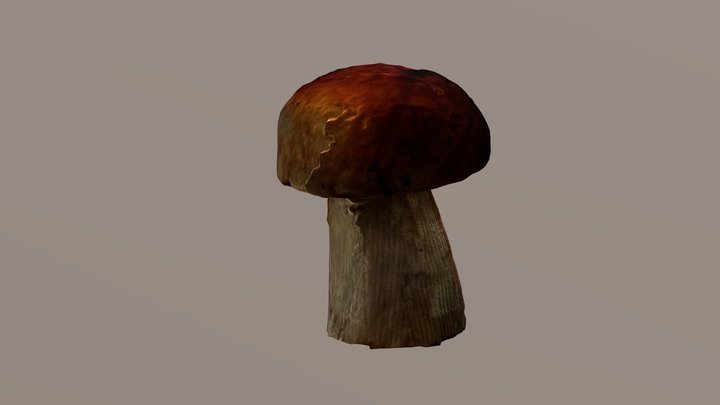 Mushroom - Boletus Edulis 3D Model