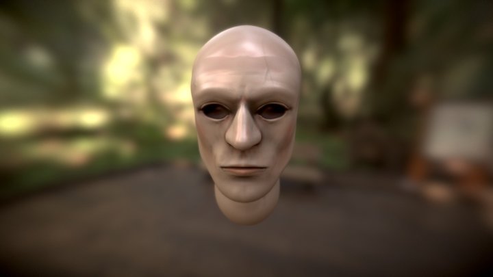 Head Model Sculpting Practice 3D Model
