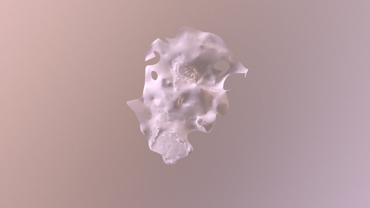Test Shoe 3D Model