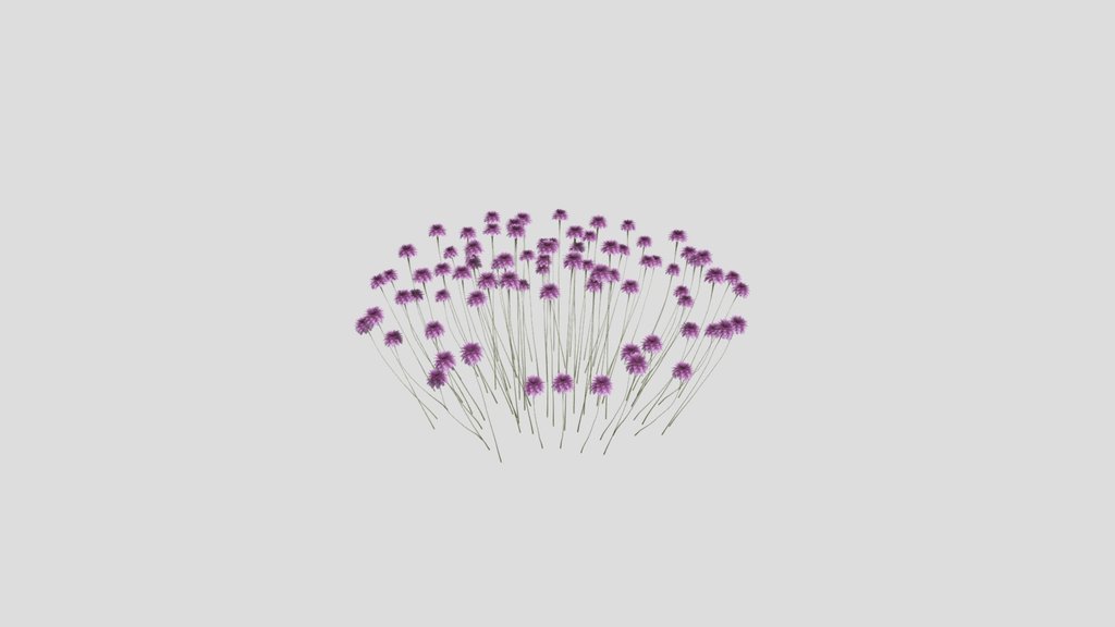 Sj Graceful Petal Bush