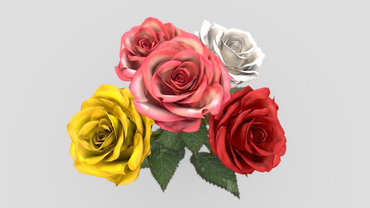 Rose Flower In 4 Colors 3D Model