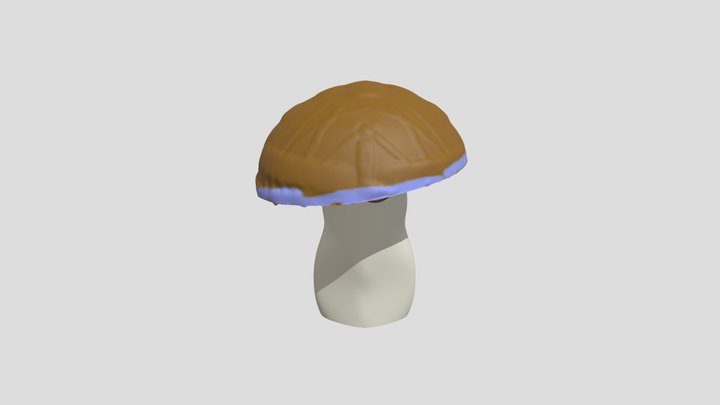 Rachel 3D Mushie 3D Model