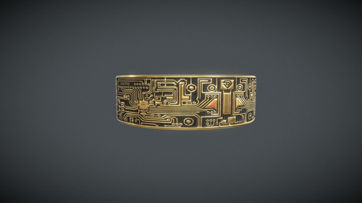 The programmer's ring (Diverse Jewellery design) 3D Model