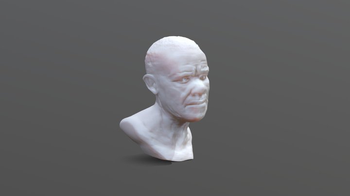 Head of man - test rendering 3D Model