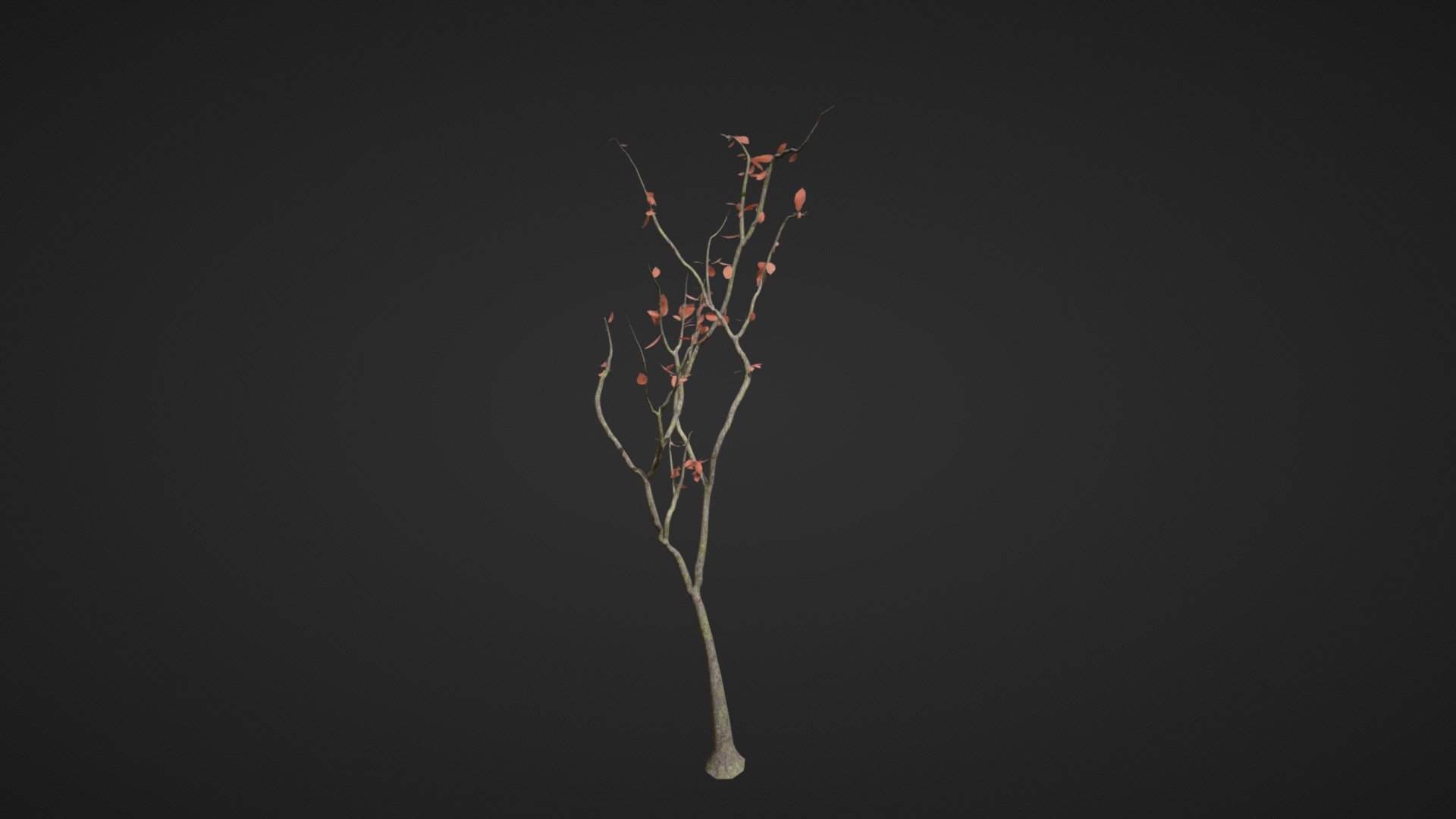 smol trees