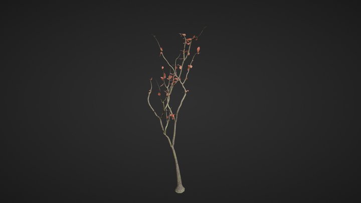 smol trees 3D Model
