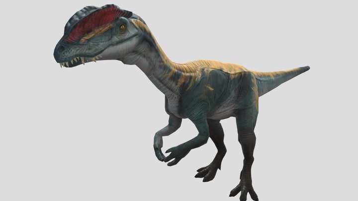 Idle 3D Model