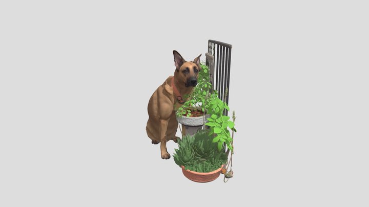 Balcony Watchdog
