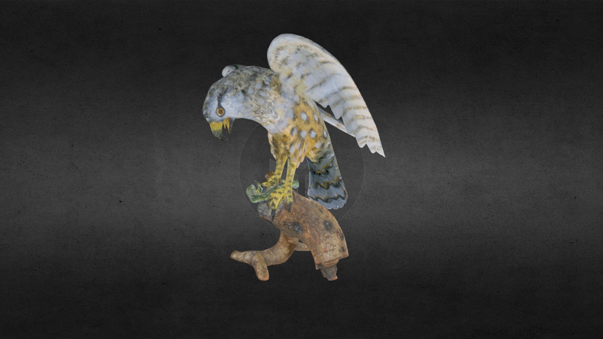 Adler - LEO
