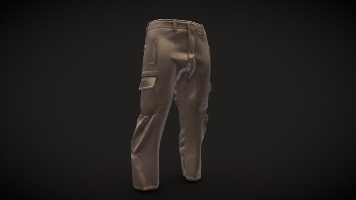 Cargo Pants 3D Model