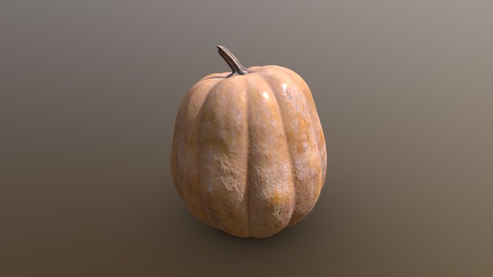 Pumpkin Scan 3D Model