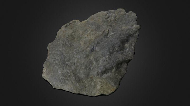 Dinosaur footprint: Grallator sp. (PRI 40798) – Free 3D Model STL