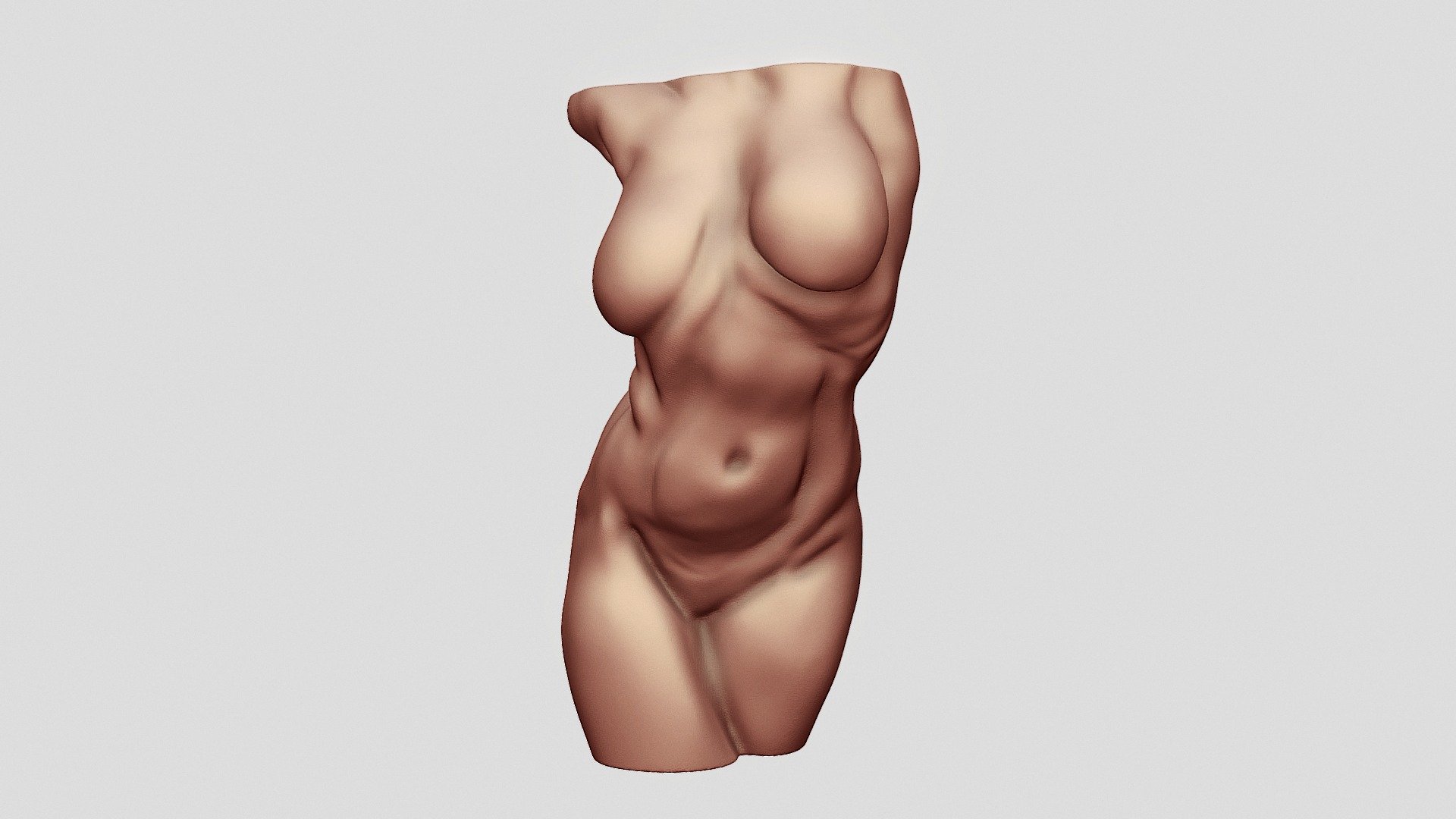 Dynamic Female Torso Sculpt