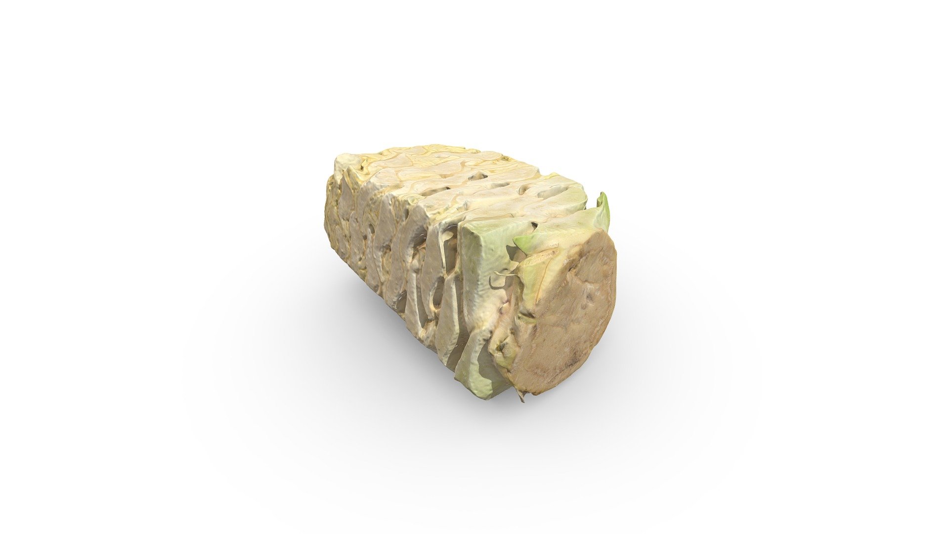 Cabbage Stalk - 3D model by RawCatalog.com (@rawcatalog) [15b2a17 ...