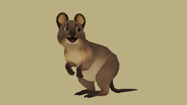 Quokka 3D Model