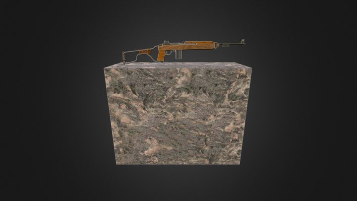 Gun Display 3D Model