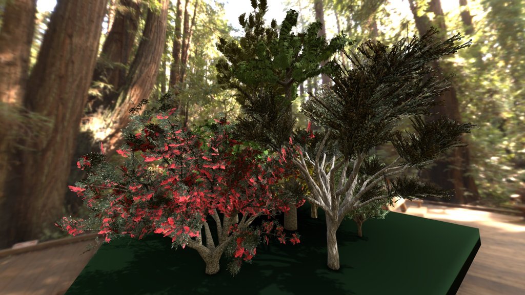 nz trees - A 3D model collection by danerobertson - Sketchfab