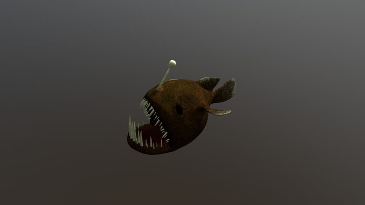Angler Fish 3D Model