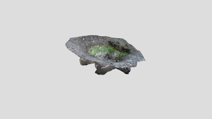 Eartham OP Excavation Model 3D Model