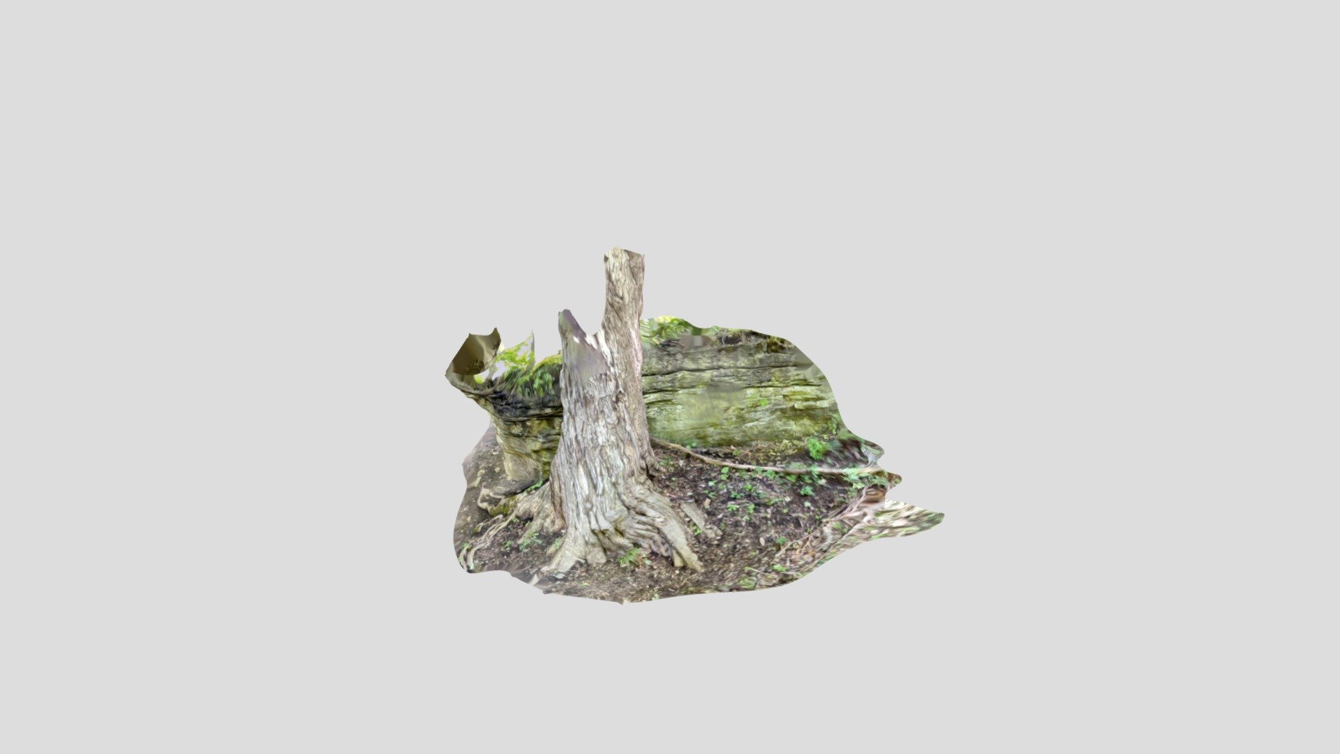 Tree two