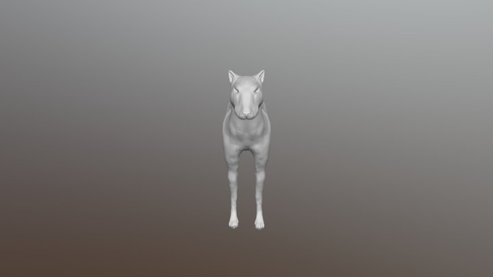 Perro Pelo Conseguido 3D Model