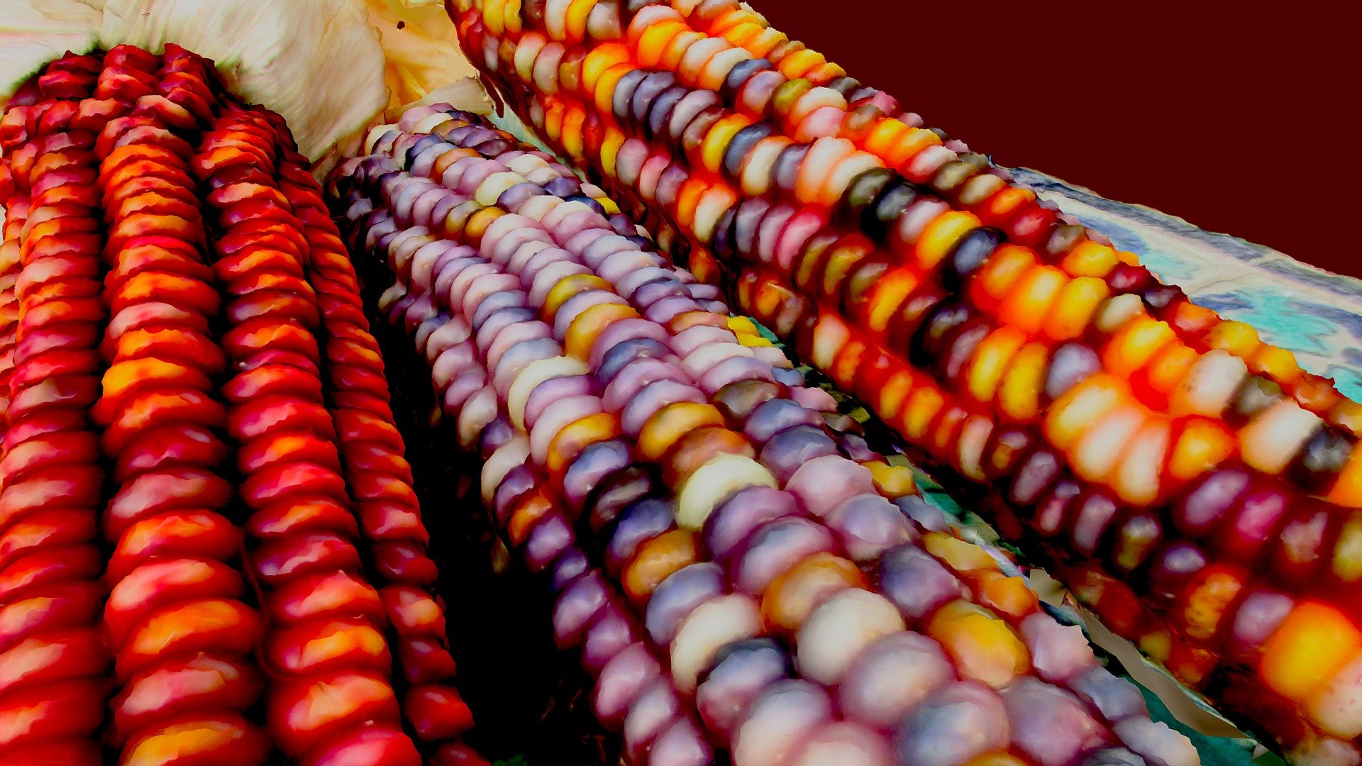 Maize 2