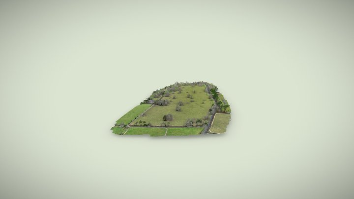 Wood pasture 3D Model