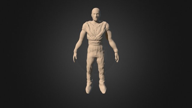 Body Rough 3D Model