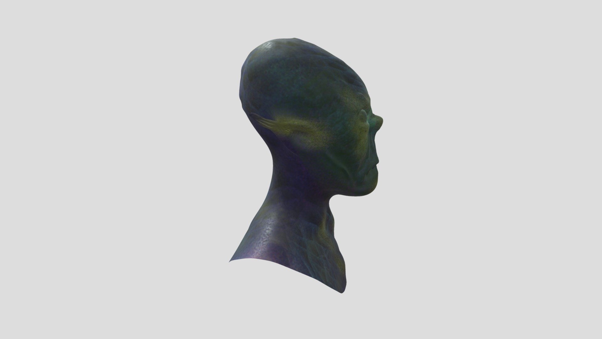 Cabeza - Progreso 1