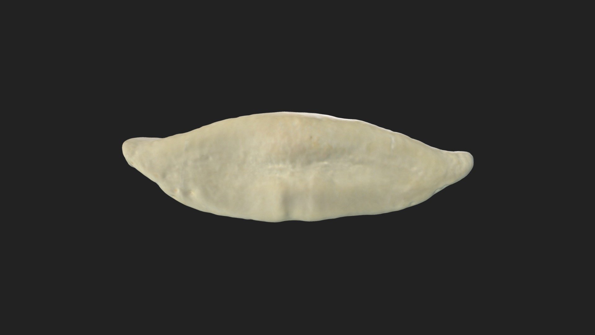 navicular bone (os naviculare) horse - Download Free 3D model by ...