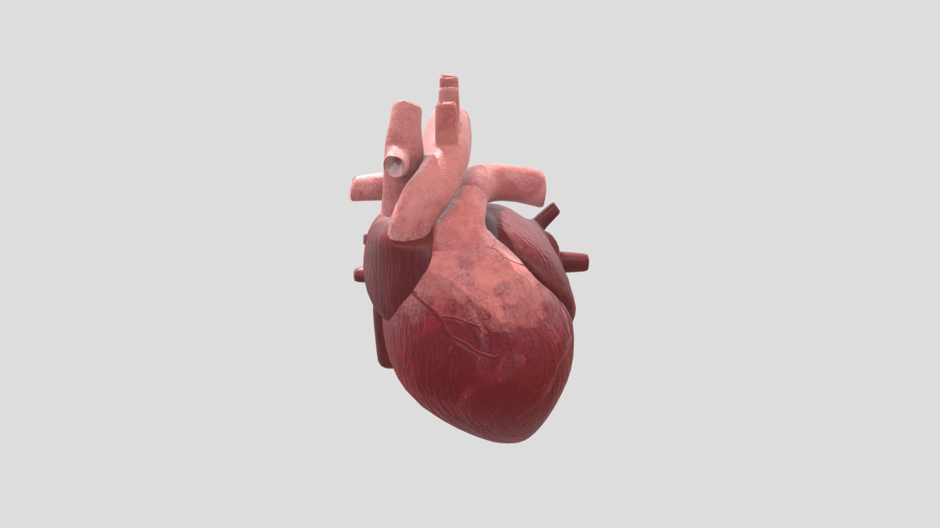 Human Heart - Buy Royalty Free 3D model by Gado3D [15bf43f] - Sketchfab ...