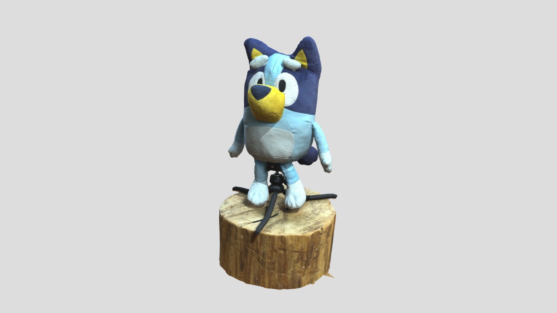 Bluey Photos Realityscan 3d Model By Urijah Ceballos 4539 Urijah756 15c1f8f Sketchfab 9679