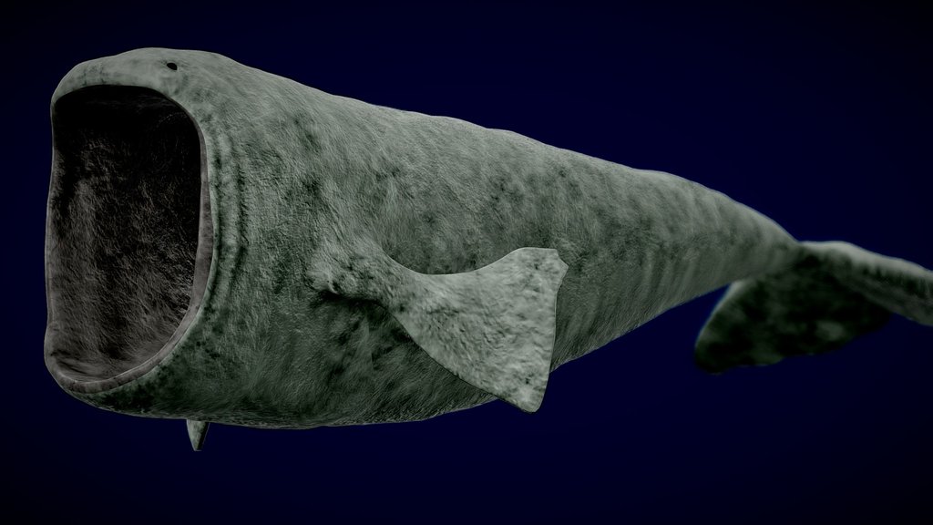 Animated Bloop (Free)